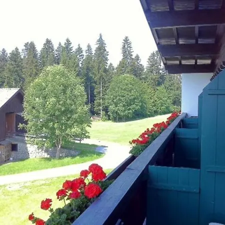 Affittacamere Sunnbichl Going am Wilden Kaiser
